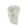 AUTOBEST F4562A Autobest F4562A Fuel Pump Module Assembly
