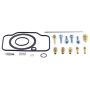 All Balls Racing 26-1773 1976 Arctic Cat Cheeta 4000 Carburetor Rebuild Kit