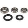 Pivot Works PWRWS-K03-000 81-83 Kawasaki KZ1000J PW Rear Wheel Bearing Kit