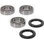 Pivot Works 25-1255-P Wheel Bearing Kit