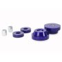 Superpro SPF2466K 1975 Triumph TR7 Base Rear Subframe Forward Mount Bushing Set