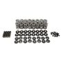 COMP CAMS COM26925CS-KIT Valve Spring & Retainer Kit GM LS - Dual Spring