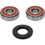 Pivot Works 25-1353-P Kawasaki, Suzuki Wheel Bearing Kit Premium Bearings