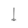 Athena VI-485205T Intake/Exhaust Valves