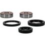 Pivot Works 25-1307-P Honda Wheel Bearing Kit Premium Bearings