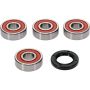Pivot Works 25-1573-P Suzuki Wheel Bearing Kit Premium Bearings