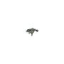 CARDONE Reman 18-4542 Remanufactured Unloaded Caliper