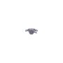 CARDONE Reman 19-1213 Remanufactured Unloaded Caliper