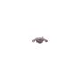 CARDONE Reman 19-1779 Remanufactured Unloaded Caliper