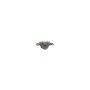 CARDONE Reman 19-2049 Remanufactured Unloaded Caliper