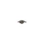 CARDONE Reman 19-2091 Remanufactured Unloaded Caliper