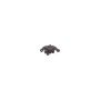 CARDONE Reman 19-994 Remanufactured Unloaded Caliper
