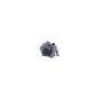 CARDONE Reman 21-5053 Remanufactured Power Steering Pump