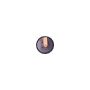 CARDONE Reman 53-2530 Remanufactured Vacuum Power Brake Booster
