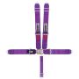 5-Pt Harness Small Latch Purple Bolt In Pull Down
