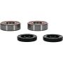 Pivot Works 25-1369-P Harley Wheel Bearing Kit Premium Bearings