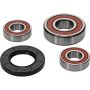 Pivot Works 25-1096-P Suzuki Wheel Bearing Kit Premium Bearings
