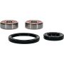 Pivot Works 25-1525-P Yamaha Wheel Bearing Kit Premium Bearings