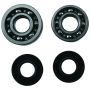 Hot Rods HR00059 2018/20-21 Yamaha YZ 65 65cc Main Bearing & Seal Kit