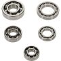 Hot Rods HR00078 09-13 Honda TRX 420 FPA IRS 420cc Transmission Bearing Kit