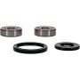 Pivot Works 25-1316-P Yamaha Wheel Bearing Kit Premium Bearings