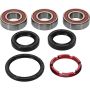 Pivot Works 25-1115-P Honda Wheel Bearing Kit Premium Bearings