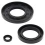 Vertex Pistons 55102 Vertex Gaskets 1987 Ski-Doo Citation Oil Seal Kit