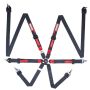 Racequip 856006 Black FIA CAMLOCK 6pt 2in Pull Up Lap FHR