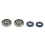 Athena P400250444082 Main Bearing & Seal Kit