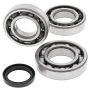 All Balls Racing 24-1085 00-02 Polaris Magnum 325 2x4 Crank Shaft Bearing Kit
