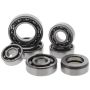 Hot Rods TBK0075 02-08 Yamaha YFM 660 F Grizzly 4x4 660cc Transmission Bearing Kit