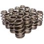 PAC RACING SPRINGS PACPAC-1219X-16 1.307 Valve Springs - Ovate Beehive (16)