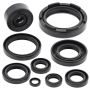 Vertex Pistons 822117 Vertex Gaskets 91-97 Yamaha WR250 Oil Seal Kit