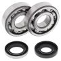All Balls Racing 24-1109 1993 Husqvarna CR250 Crank Shaft Bearing Kit