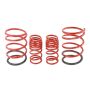 Skunk2 02-05 Honda Civic Si Hatchback Lowering Springs (2.25in - 2.00in.) (Set of 4)