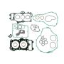 Athena P400250870034 Complete Gasket Kits
