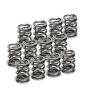 Supertech SPR-V2093-4-12 VW VR6 Dual Valve Spring - Set of 12