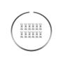 Wilwood 300-14913 8.80in Diameter Dynapro Lug Rotor and Snap Ring Dynamic Kit - Stainless Steel