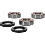 Pivot Works 25-1277-P Honda, Kawasaki Wheel Bearing Kit Premium Bearings