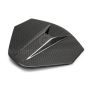 Anderson Composites AC-DA20CHC8-C decklid housing panel