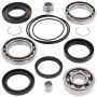 All Balls Racing 25-2010 88-00 Honda TRX300 Fourtrax Differential Bearing & Seal Kit Rear