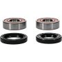 Pivot Works 25-1221-P Kawasaki Wheel Bearing Kit Premium Bearings