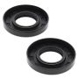 Vertex Pistons 55116 Vertex Gaskets 74-75 BSE 400 Oil Seal Kit