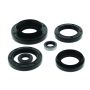 QuadBoss 564210 15-20 Kawasaki KVF750 Brute Force/EPS Oil Seal Set