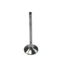DART DRT21391600 SBC Exhaust Valve 1.600 x 8mm - 4.940 OAL