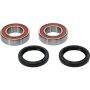 Pivot Works 25-1351-P Wheel Bearing Kit