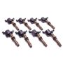 Ford Racing M-12029-3V 4.6L/5.4L 3V Ignition Coil Set