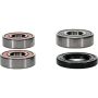Pivot Works 25-1231-P Honda, Hyosung, Suzuki, Yamaha Wheel Bearing Kit Premium Bearings