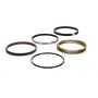 TOTAL SEAL TOTMG0010-65 Piston Ring Set 4.060 Gapls Top .043 .043 3.0