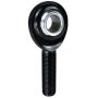 Rod End - 3/4in x 3/4in RH Chromoly - Male